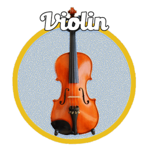 Used Violin Rental (VL70 & VL80)