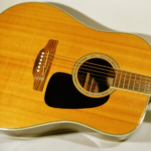 Acoustic/Steel String Guitars