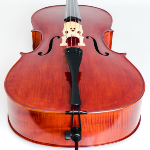 String Instruments